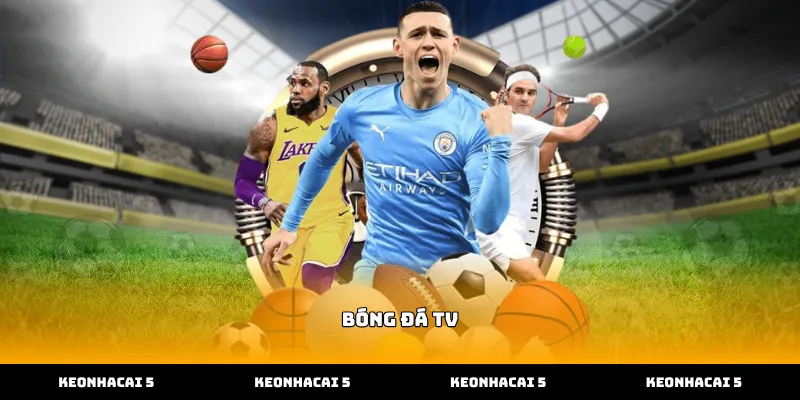 Theo dõi trận đấu trực tiếp trên bóng đá tv sắc nét